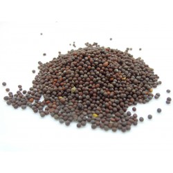 Mustard black seeds