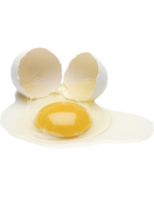 Kiaušinių miltelių